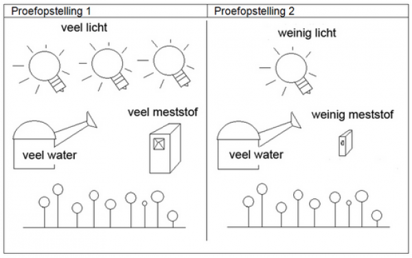 onderzoek1